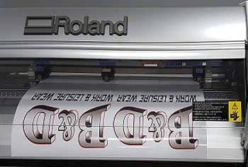 Vinyl Print